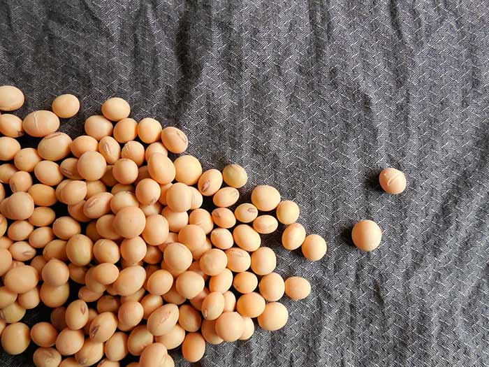 Grain of unprocessed soybean 